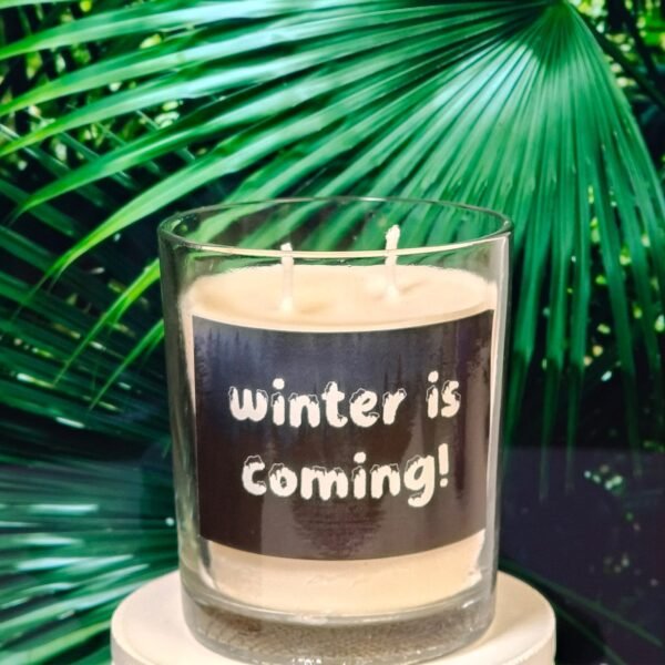 Winter is Coming Meme Candle - Pack of 1